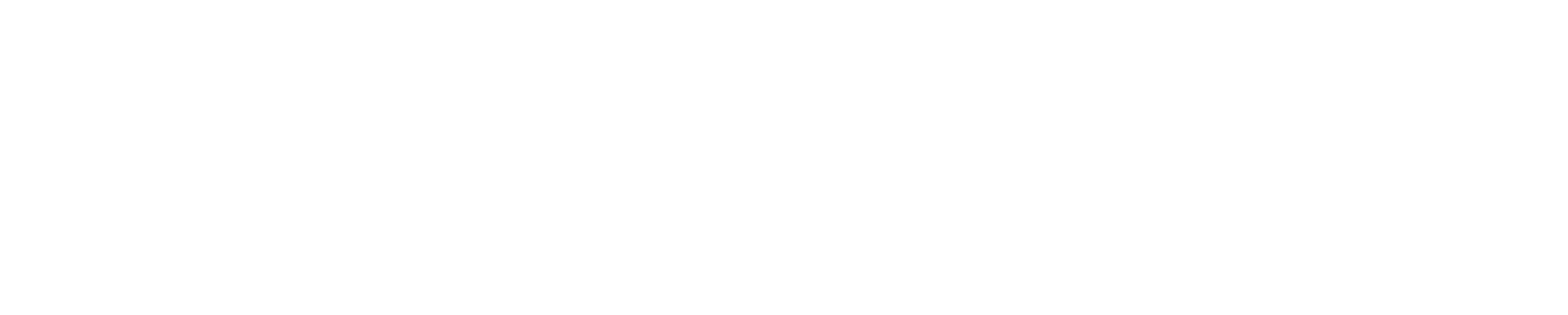 Metasys Technologies